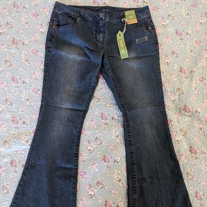 Dorothy Perkins Jeans, "Skinny Flare," Size 16 NWT